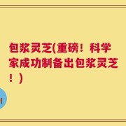 包浆灵芝(重磅！科学家成功制备出包浆灵芝！)