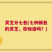 灵芝分七色(七种颜色的灵芝，你知道吗？)