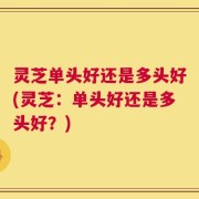 灵芝单头好还是多头好(灵芝：单头好还是多头好？)