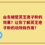 山东破壁灵芝孢子粉的效果？让你了解灵芝孢子粉的功效和作用？