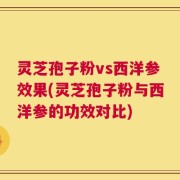 灵芝孢子粉vs西洋参效果(灵芝孢子粉与西洋参的功效对比)