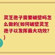 灵芝孢子需要破壁吗怎么做的(如何破壁灵芝孢子以发挥最大功效？)