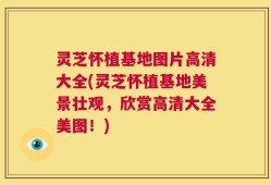 灵芝怀植基地图片高清大全(灵芝怀植基地美景壮观，欣赏高清大全美图！)