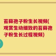 苔藓孢子粉生长视频(观赏生动细致的苔藓孢子粉生长过程视频)