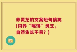养灵芝的文案短句搞笑(饲养“嘴馋”灵芝，自然生长不易？)