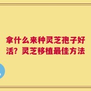 拿什么来种灵芝孢子好活？灵芝移植最佳方法