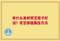 拿什么来种灵芝孢子好活？灵芝移植最佳方法