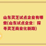 山东灵芝试点企业有哪些(山东试点企业：探寻灵芝商业化新路)