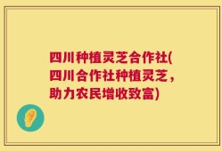 四川种植灵芝合作社(四川合作社种植灵芝，助力农民增收致富)