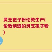 灵芝孢子粉伦敦生产(伦敦制造的灵芝孢子粉)