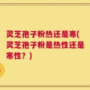 灵芝孢子粉热还是寒(灵芝孢子粉是热性还是寒性？)