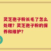 灵芝孢子粉长毛了怎么处理？灵芝孢子粉的保养和维护？
