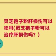 灵芝孢子粉肝损伤可以吃吗(灵芝孢子粉可以治疗肝损伤吗？)