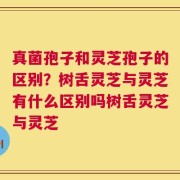 真菌孢子和灵芝孢子的区别？树舌灵芝与灵芝有什么区别吗树舌灵芝与灵芝