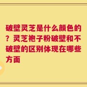 破壁灵芝是什么颜色的？灵芝袍子粉破壁和不破壁的区别体现在哪些方面