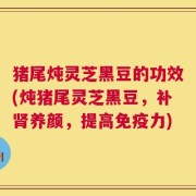 猪尾炖灵芝黑豆的功效(炖猪尾灵芝黑豆，补肾养颜，提高免疫力)