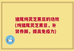 猪尾炖灵芝黑豆的功效(炖猪尾灵芝黑豆，补肾养颜，提高免疫力)