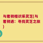 与君初相识采灵芝(与君初遇：寻找灵芝之旅)