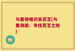 与君初相识采灵芝(与君初遇：寻找灵芝之旅)