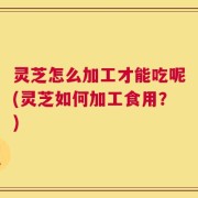 灵芝怎么加工才能吃呢(灵芝如何加工食用？)