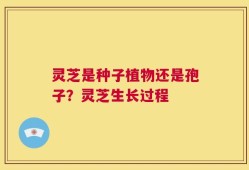 灵芝是种子植物还是孢子？灵芝生长过程