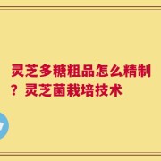 灵芝多糖粗品怎么精制？灵芝菌栽培技术