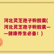 河北灵芝孢子粉胶囊(河北灵芝孢子粉胶囊——健康养生必备！)