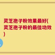 灵芝孢子粉效果最好(灵芝孢子粉的最佳功效)