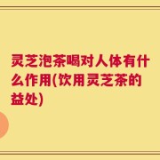 灵芝泡茶喝对人体有什么作用(饮用灵芝茶的益处)