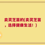 卖灵芝苗的(卖灵芝苗，选择健康生活！)