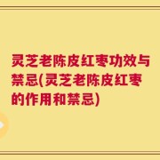 灵芝老陈皮红枣功效与禁忌(灵芝老陈皮红枣的作用和禁忌)