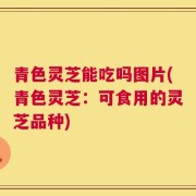 青色灵芝能吃吗图片(青色灵芝：可食用的灵芝品种)