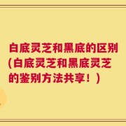 白底灵芝和黑底的区别(白底灵芝和黑底灵芝的鉴别方法共享！)