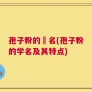 孢子粉的棑名(孢子粉的学名及其特点)