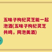 五味子枸杞灵芝能一起泡酒(五味子枸杞灵芝共鸣，同泡美酒)