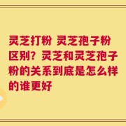 灵芝打粉 灵芝孢子粉区别？灵芝和灵芝孢子粉的关系到底是怎么样的谁更好