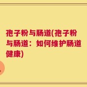 孢子粉与肠道(孢子粉与肠道：如何维护肠道健康)