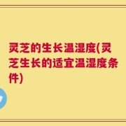 灵芝的生长温湿度(灵芝生长的适宜温湿度条件)