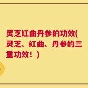 灵芝红曲丹参的功效(灵芝、红曲、丹参的三重功效！)