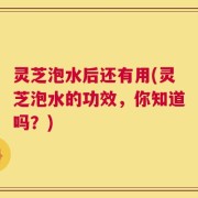 灵芝泡水后还有用(灵芝泡水的功效，你知道吗？)