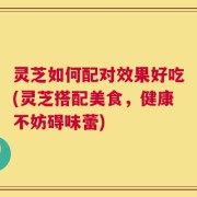 灵芝如何配对效果好吃(灵芝搭配美食，健康不妨碍味蕾)
