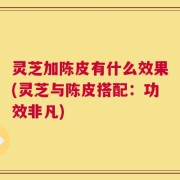灵芝加陈皮有什么效果(灵芝与陈皮搭配：功效非凡)