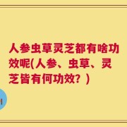 人参虫草灵芝都有啥功效呢(人参、虫草、灵芝皆有何功效？)