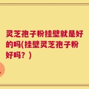 灵芝孢子粉挂壁就是好的吗(挂壁灵芝孢子粉好吗？)