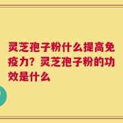 灵芝孢子粉什么提高免疫力？灵芝孢子粉的功效是什么