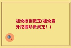 祖坟挖到灵芝(祖坟意外挖掘珍贵灵芝！)