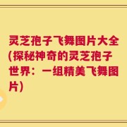 灵芝孢子飞舞图片大全(探秘神奇的灵芝孢子世界：一组精美飞舞图片)