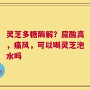 灵芝多糖酶解？尿酸高，痛风，可以喝灵芝泡水吗
