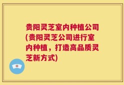 贵阳灵芝室内种植公司(贵阳灵芝公司进行室内种植，打造高品质灵芝新方式)