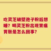 吃灵芝破壁孢子粉后想睡？喝灵芝粉出现胃痛胃胀是怎么回事？